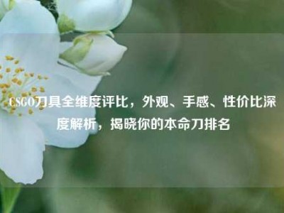 CSGO刀具全维度评比，外观、手感、性价比深度解析，揭晓你的本命刀排名