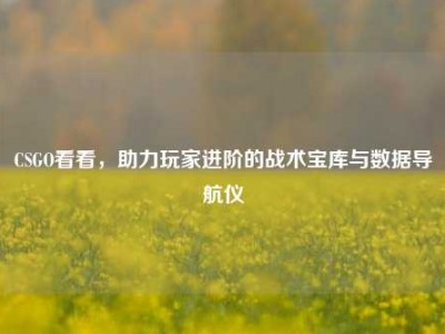 CSGO看看，助力玩家进阶的战术宝库与数据导航仪