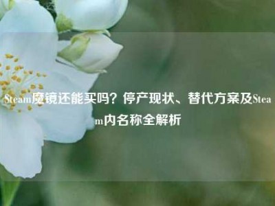 Steam魔镜还能买吗？停产现状、替代方案及Steam内名称全解析