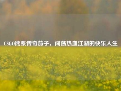 CSGO熊系传奇茄子，闯荡热血江湖的快乐人生