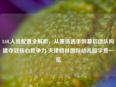 LOL人员配置全解析，从赛场选手到幕后团队构建夺冠核心竞争力 天津格林国际幼儿园学费一览