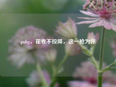 pubg，花卷不投降，这一枪为你