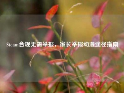 Steam合规无需举报，家长举报动漫途径指南