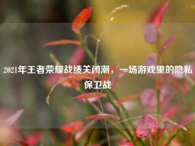 2021年王者荣耀战绩关闭潮，一场游戏里的隐私保卫战
