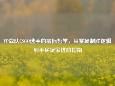 VP战队CSGO选手的鼠标哲学，从赛场制胜逻辑到平民玩家进阶指南