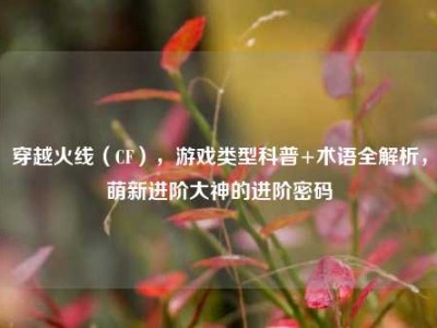 穿越火线（CF），游戏类型科普+术语全解析，萌新进阶大神的进阶密码
