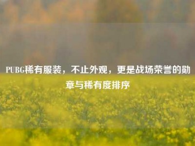 PUBG稀有服装，不止外观，更是战场荣誉的勋章与稀有度排序