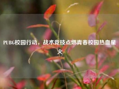 PUBG校园行动，战术竞技点燃青春校园热血星火