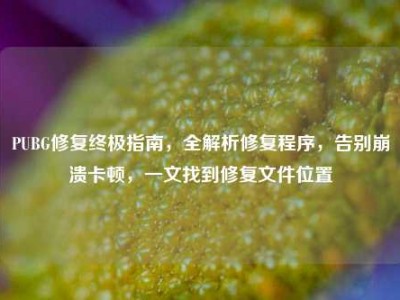 PUBG修复终极指南，全解析修复程序，告别崩溃卡顿，一文找到修复文件位置