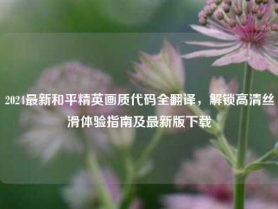 2024最新和平精英画质代码全翻译，解锁高清丝滑体验指南及最新版下载