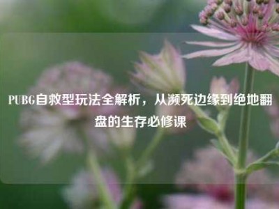 PUBG自救型玩法全解析，从濒死边缘到绝地翻盘的生存必修课