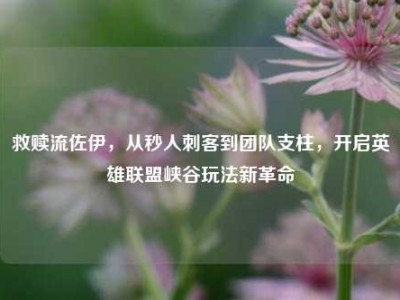 救赎流佐伊，从秒人刺客到团队支柱，开启英雄联盟峡谷玩法新革命