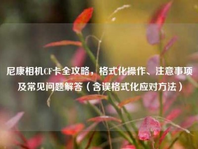 尼康相机CF卡全攻略，格式化操作、注意事项及常见问题解答（含误格式化应对方法）