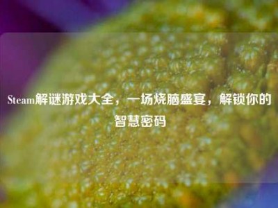Steam解谜游戏大全，一场烧脑盛宴，解锁你的智慧密码
