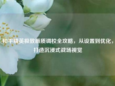 和平精英极致画质调校全攻略，从设置到优化，打造沉浸式战场视觉