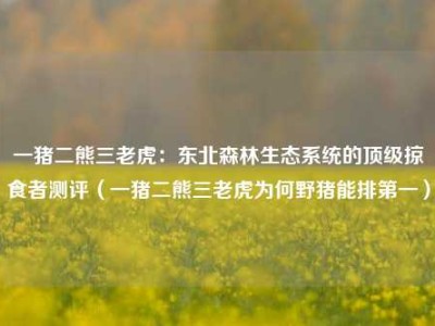 一猪二熊三老虎：东北森林生态系统的顶级掠食者测评（一猪二熊三老虎为何野猪能排第一）