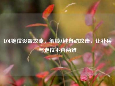 LOL键位设置攻略，解锁A键自动攻击，让补兵与走位不再两难