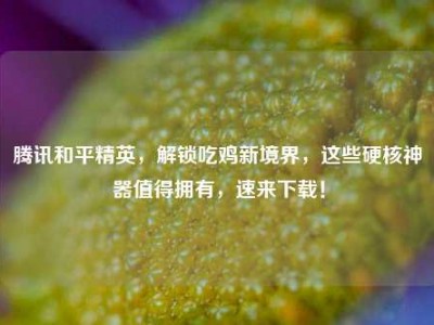 腾讯和平精英，解锁吃鸡新境界，这些硬核神器值得拥有，速来下载！
