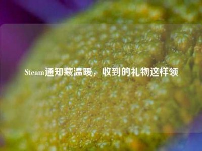 Steam通知藏温暖，收到的礼物这样领