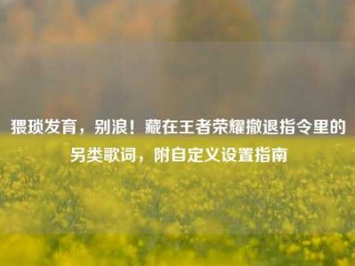 猥琐发育，别浪！藏在王者荣耀撤退指令里的另类歌词，附自定义设置指南