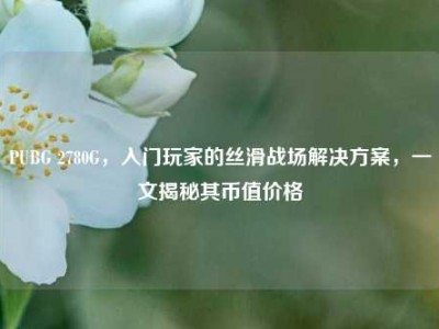 PUBG 2780G，入门玩家的丝滑战场解决方案，一文揭秘其币值价格