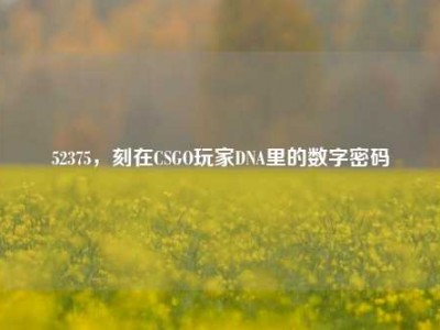 52375，刻在CSGO玩家DNA里的数字密码
