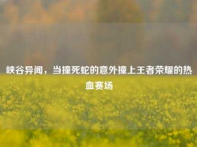 峡谷异闻，当撞死蛇的意外撞上王者荣耀的热血赛场