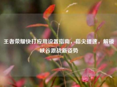 王者荣耀快打应用设置指南，指尖提速，解锁峡谷激战新姿势