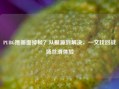 PUBG拖画面掉帧？从根源到解决，一文找回战场丝滑体验