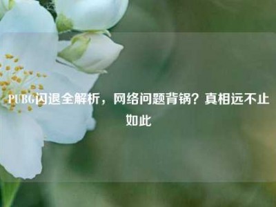 PUBG闪退全解析，网络问题背锅？真相远不止如此