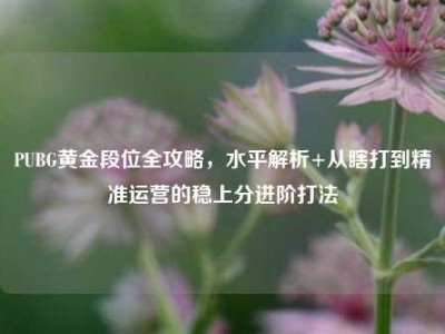 PUBG黄金段位全攻略，水平解析+从瞎打到精准运营的稳上分进阶打法