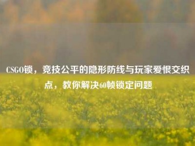 CSGO锁，竞技公平的隐形防线与玩家爱恨交织点，教你解决60帧锁定问题