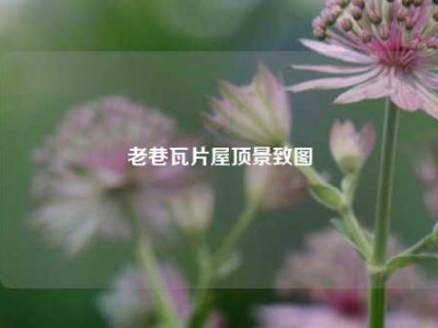 老巷瓦片屋顶景致图
