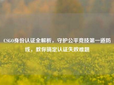 CSGO身份认证全解析，守护公平竞技第一道防线，教你搞定认证失败难题