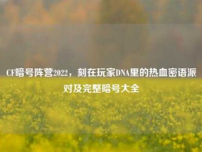 CF暗号阵营2022，刻在玩家DNA里的热血密语派对及完整暗号大全