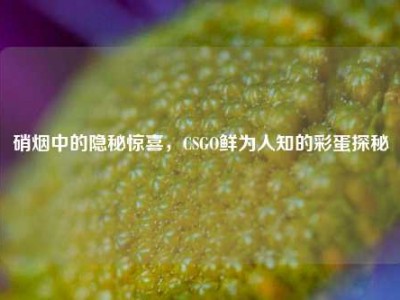 硝烟中的隐秘惊喜，CSGO鲜为人知的彩蛋探秘
