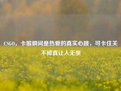 CSGO，卡喉瞬间是热爱的真实心跳，可卡住关不掉真让人无奈