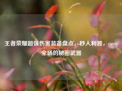 王者荣耀超强伤害装备盘点，秒人利器，carry全场的秘密武器