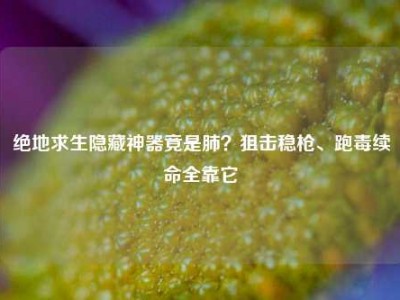 绝地求生隐藏神器竟是肺？狙击稳枪、跑毒续命全靠它