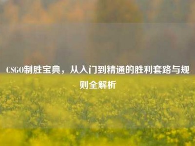 CSGO制胜宝典，从入门到精通的胜利套路与规则全解析
