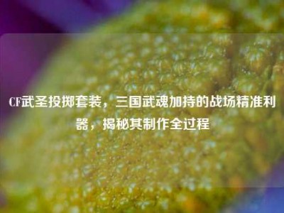 CF武圣投掷套装，三国武魂加持的战场精准利器，揭秘其制作全过程
