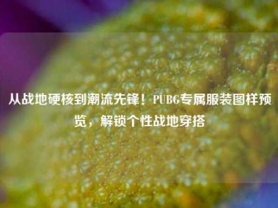 从战地硬核到潮流先锋！PUBG专属服装图样预览，解锁个性战地穿搭
