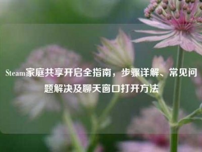 Steam家庭共享开启全指南，步骤详解、常见问题解决及聊天窗口打开方法