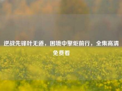 逆战先锋叶无道，困境中擎炬前行，全集高清免费看