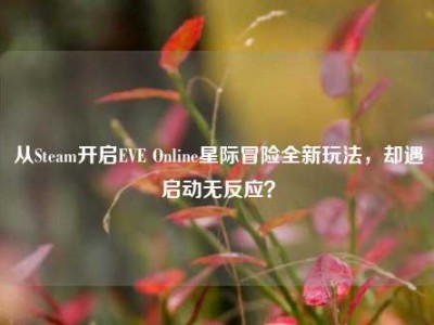从Steam开启EVE Online星际冒险全新玩法，却遇启动无反应？