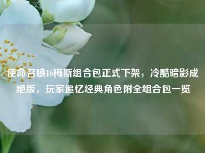 使命召唤16梅斯组合包正式下架，冷酷暗影成绝版，玩家追忆经典角色附全组合包一览