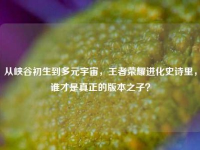 从峡谷初生到多元宇宙，王者荣耀进化史诗里，谁才是真正的版本之子？