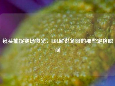 镜头捕捉赛场微光，LOL解说冬阳的那些定格瞬间