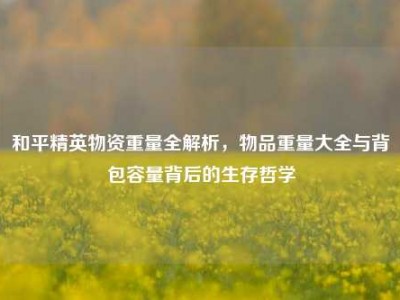 和平精英物资重量全解析，物品重量大全与背包容量背后的生存哲学