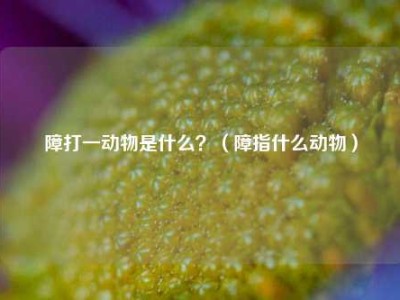 障打一动物是什么？（障指什么动物）